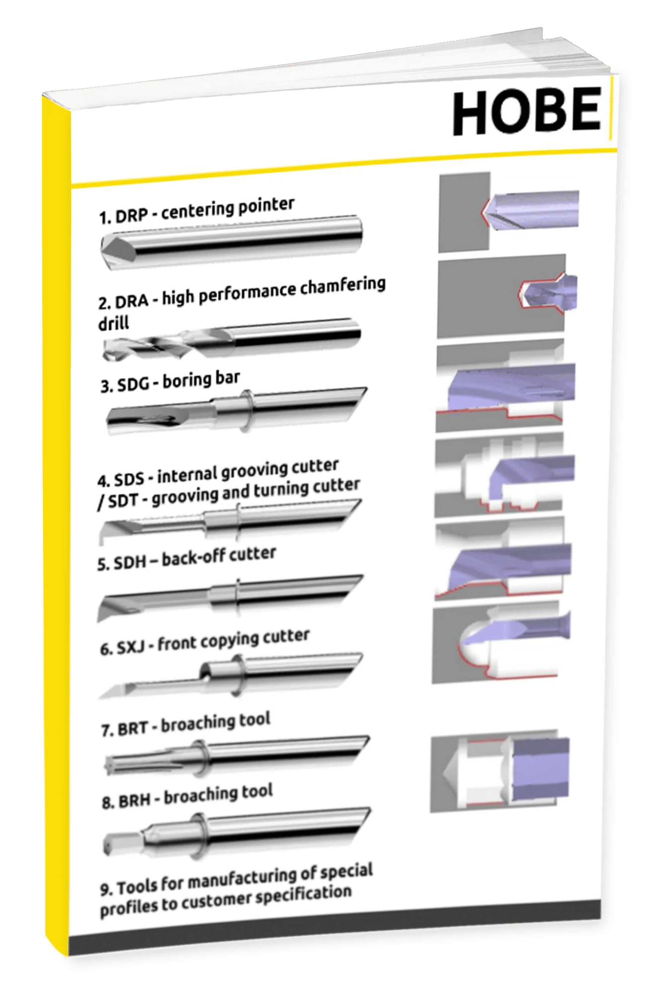 Processing Example Pedicle Screw-1