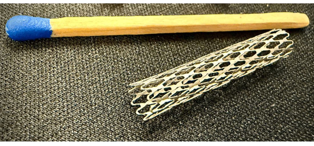 Medical stent next to matchstick demonstrating microscopic scale of Finepart Finecut WMC500II precision cutting capability.