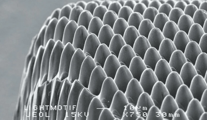 Electron microscope view of micro-textured surface created by Kern Femto laser for enhanced functional properties.